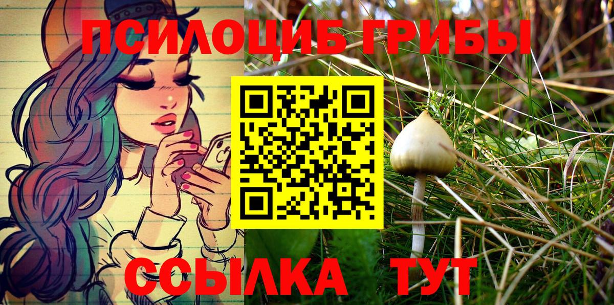 Клин  Псилоцибиновые грибы мухоморы  Псилоцибиновые грибы Psilocybine cubensis  Вход с VPN 