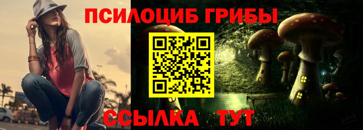 Псилоцибиновые грибы GOLDEN TEACHER Клин
